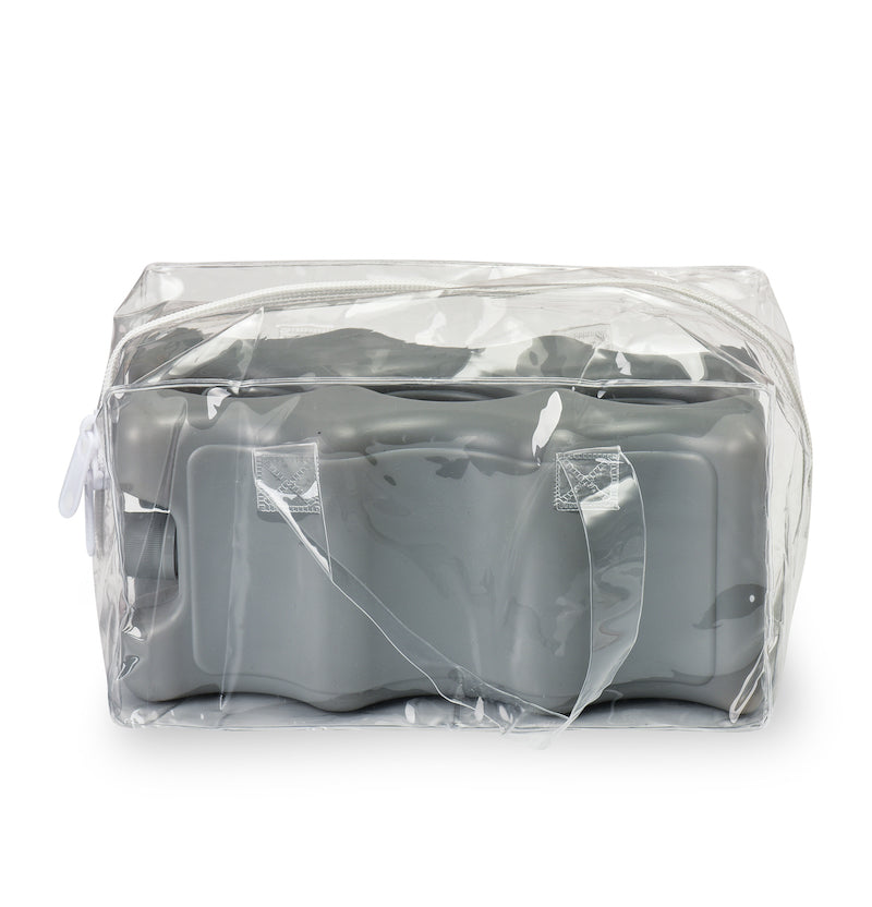 Đá khô (2 miếng) kèm túi zip- Frozen 2 - Fatzbaby FB0021VN